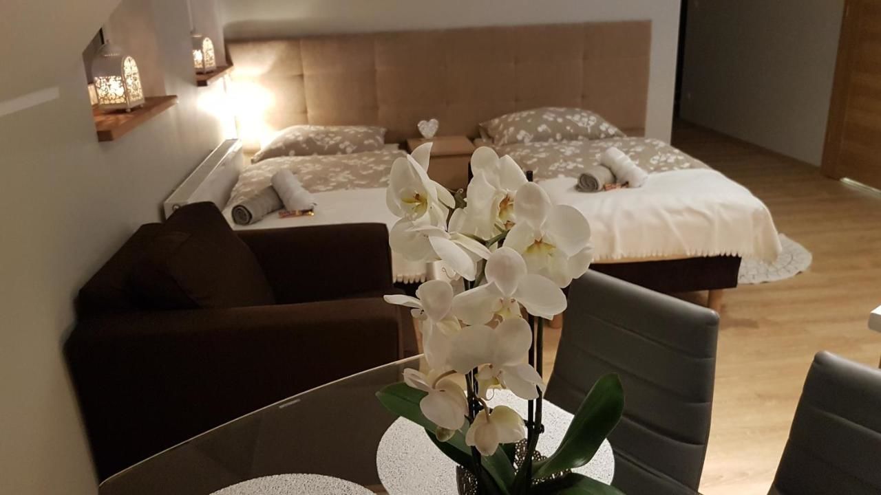 Апартаменты Apartament Strumyk Чарнкув